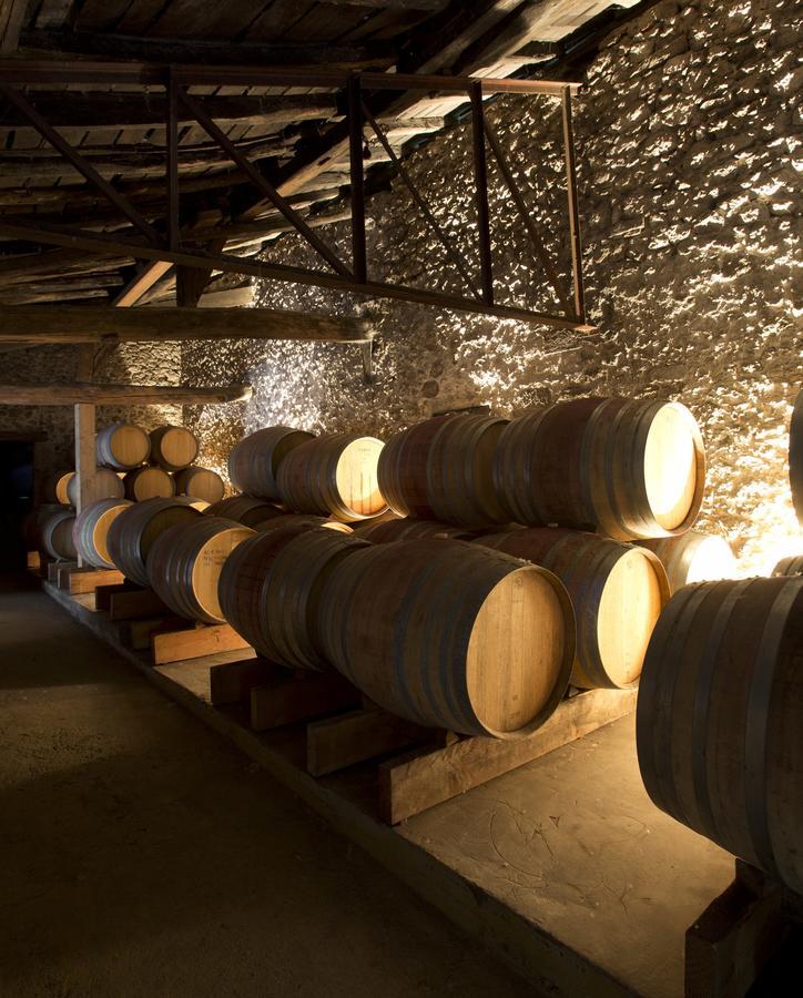 Maison Le Sepe - Vignoble Bio Et Maison D'Hotes Sainte-Radegonde  Ngoại thất bức ảnh